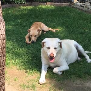 Meet your Posher, Donna